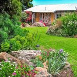 View of the cabins from the garden